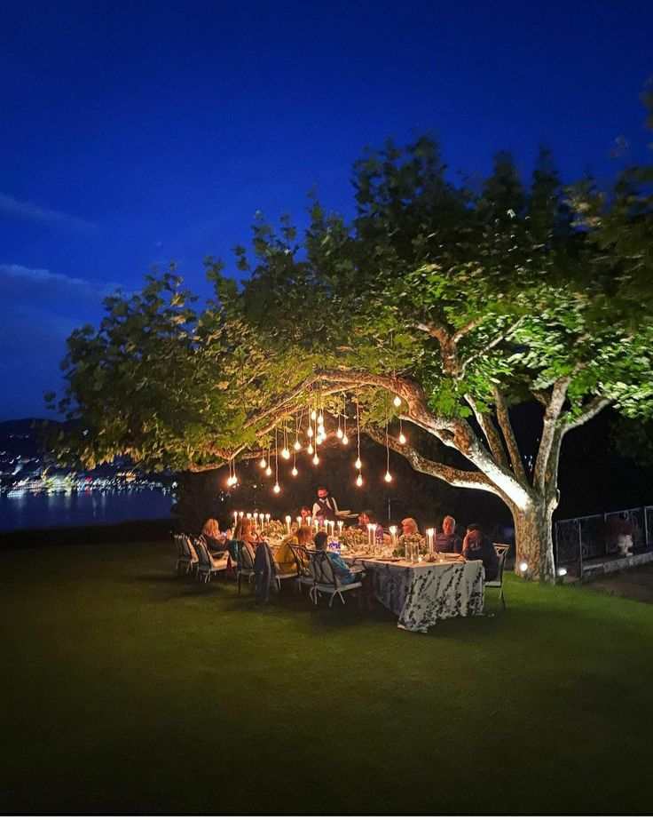 Backyard for low Budget Wedding Plan