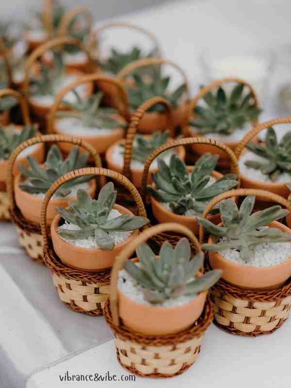 Decor-That-Doubles-as-Favors