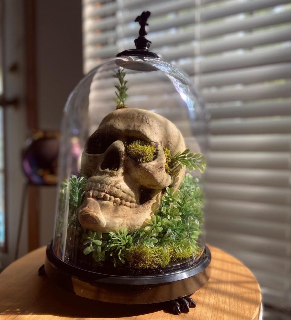 Floating-Skull-Terrarium