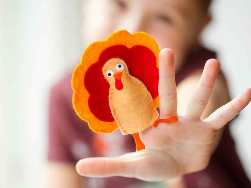 Display-and-Save-Your-Turkey-Projects