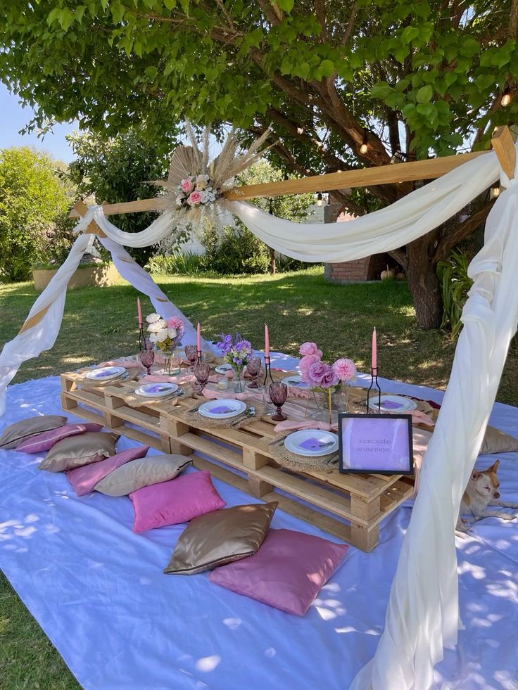 Luxury-Backyard-Picnic-Date-Theme