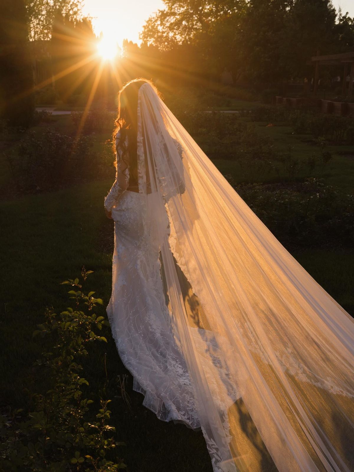 Veil-Flow-or-Dress-Movement-Shots.